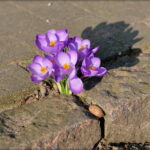 Ausschneiden 411,333,4539,3412,0,0
KF:097